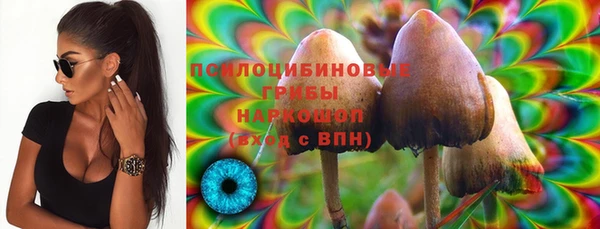 трава Коряжма
