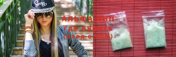 стафф Корсаков