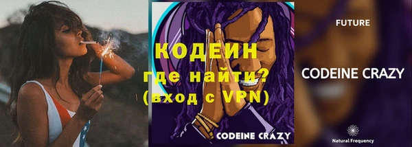 трава Коряжма