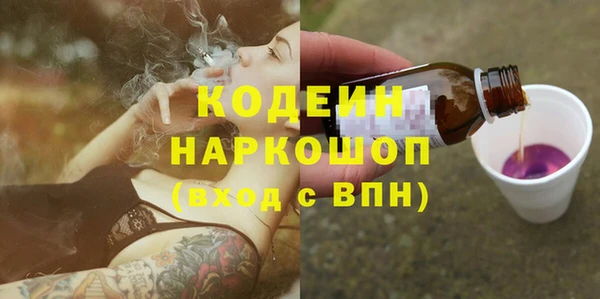 трава Коряжма