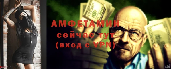 трава Коряжма
