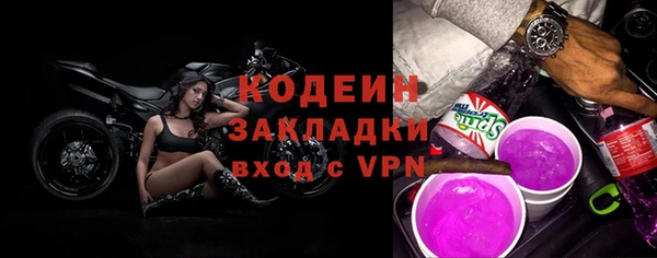 стафф Корсаков