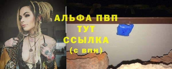 стафф Корсаков