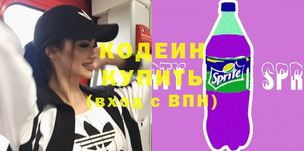 стафф Корсаков
