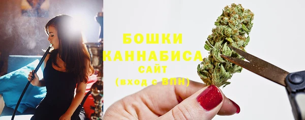 трава Коряжма
