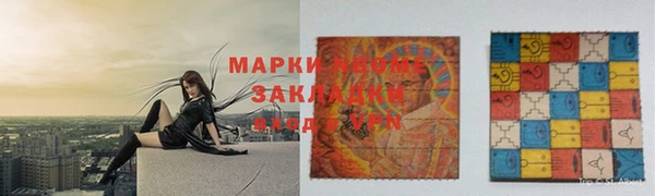 стафф Корсаков