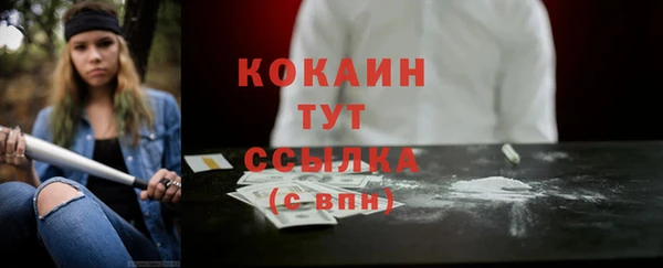 трава Коряжма