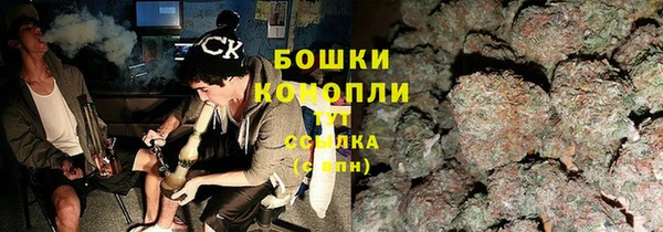 трава Коряжма