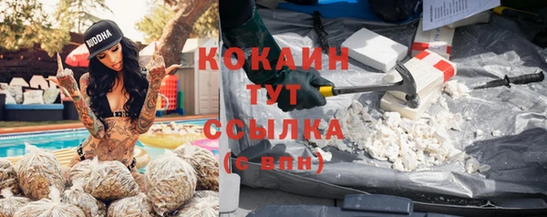 трава Коряжма