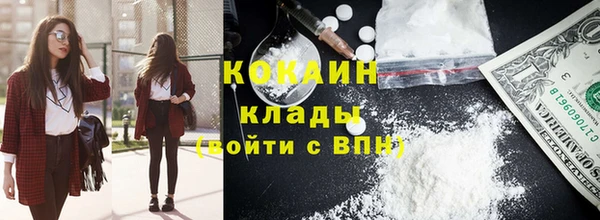 стафф Корсаков