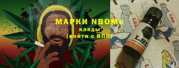трава Коряжма