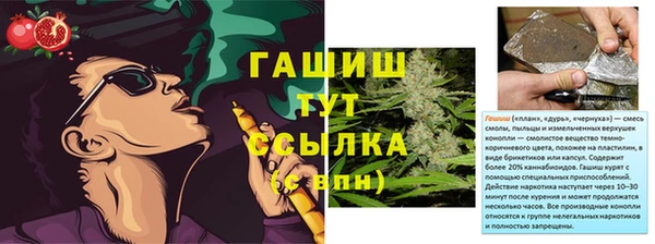 трава Коряжма